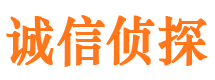 巧家市私家侦探